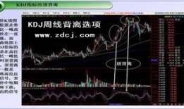 背离在线观看,揭秘在线观看背后的秘密与启示