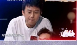 陈铭老婆爆料了吗视频,揭秘背后真相